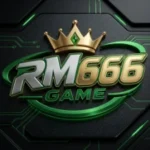 RM666